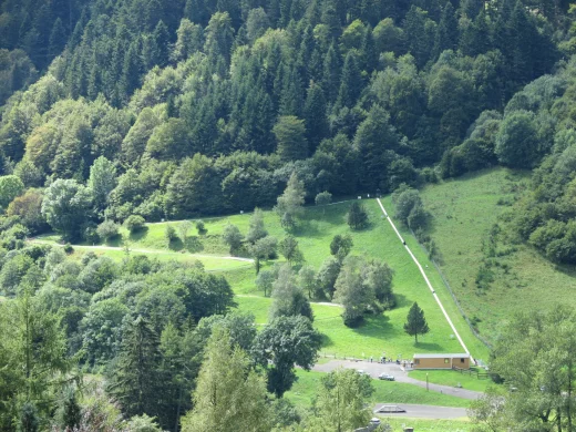Luge d’été du Mont-Dore