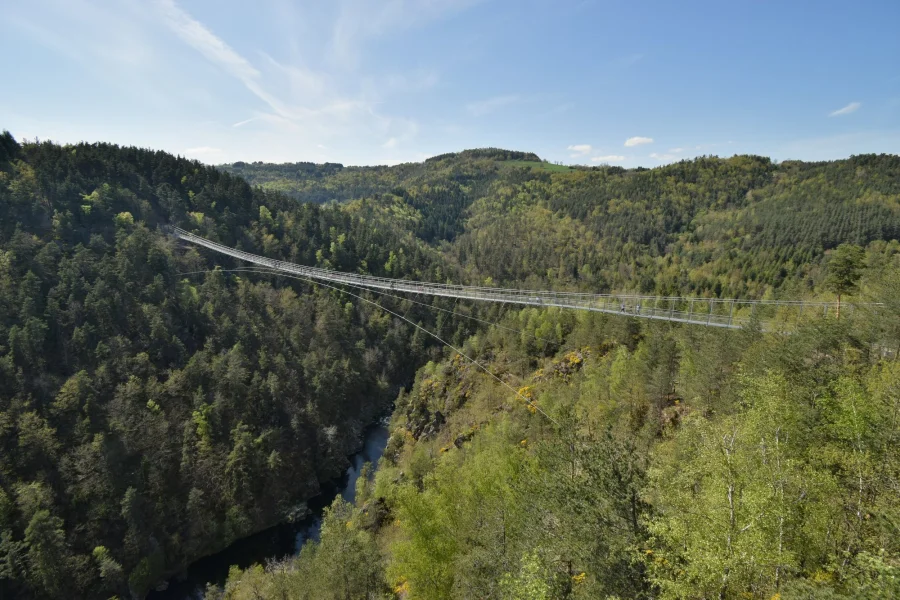 Passerelle et nature en Auvergne