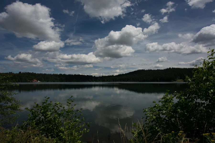 Lac et forêt en Auvergne