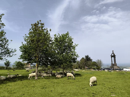Vue depuis le Plateau de Gergovie