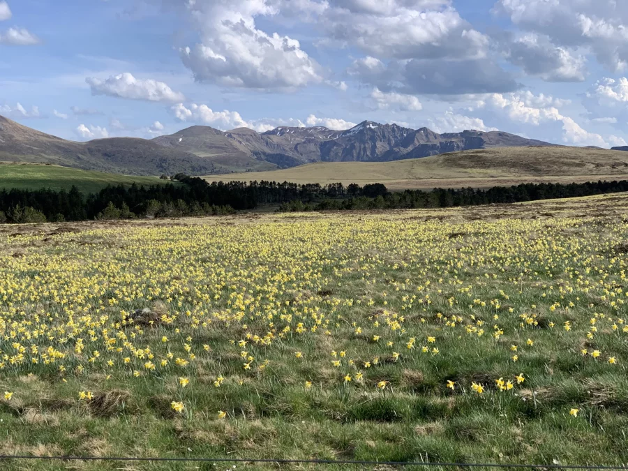 Plateau et lac en Auvergne