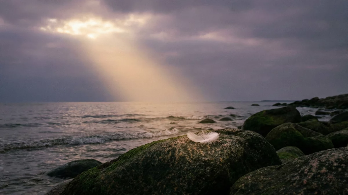 Douceur et lumière symbolisant le souvenir