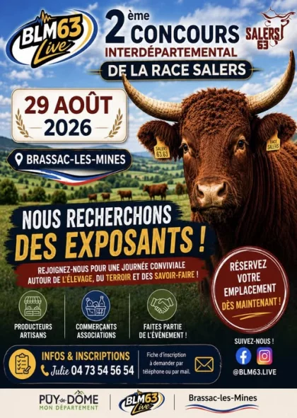Concours de la race Salers