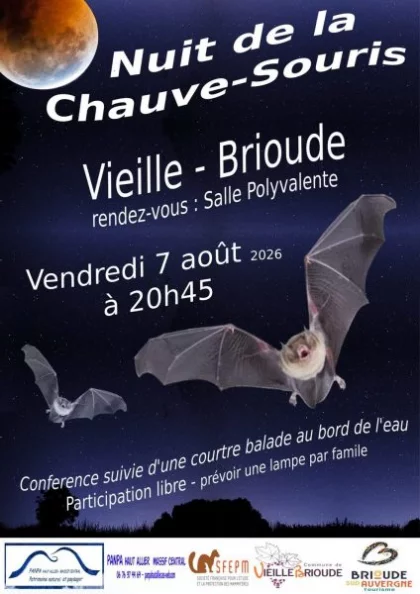 Nuit de la Chauve-Souris