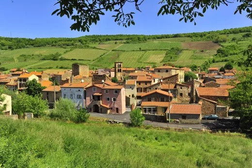 Balade vigneronne