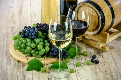 Oenobalade : les objets mystères à découvrir de la vigne et du vin