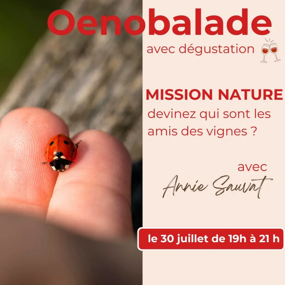 Oenobalade : devinez qui sont les amis des vignes ?