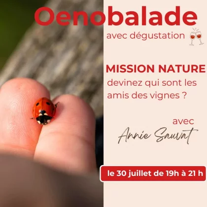 Oenobalade : devinez qui sont les amis des vignes ?