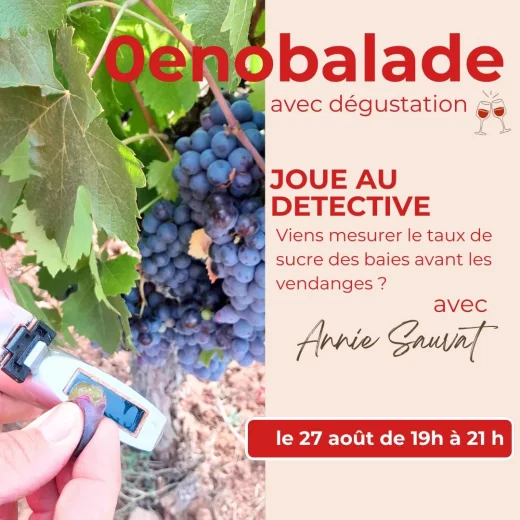 Oenobalade : deviens détective en venant mesurer le taux de sucre dans les raisins
