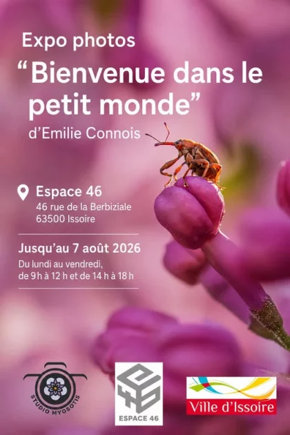 Bienvenue dans le petit monde