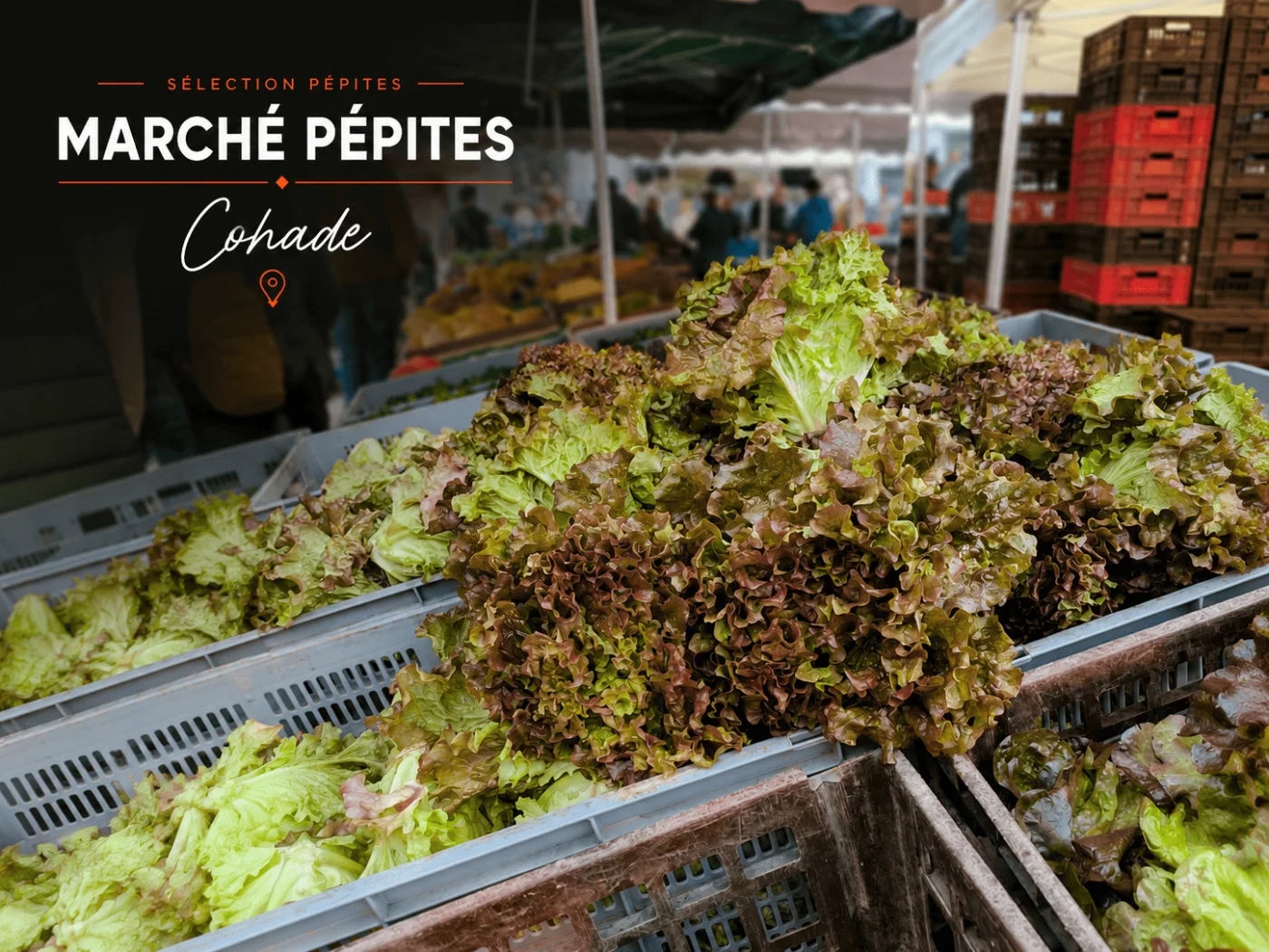 Illustration Sélection Pépites — Marché nocturne de Cohade