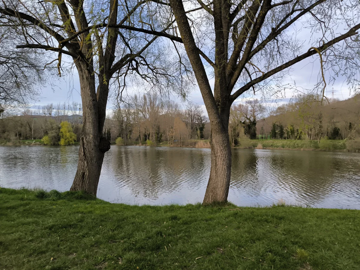 © Pépites Découvertes - Tous droits reservés