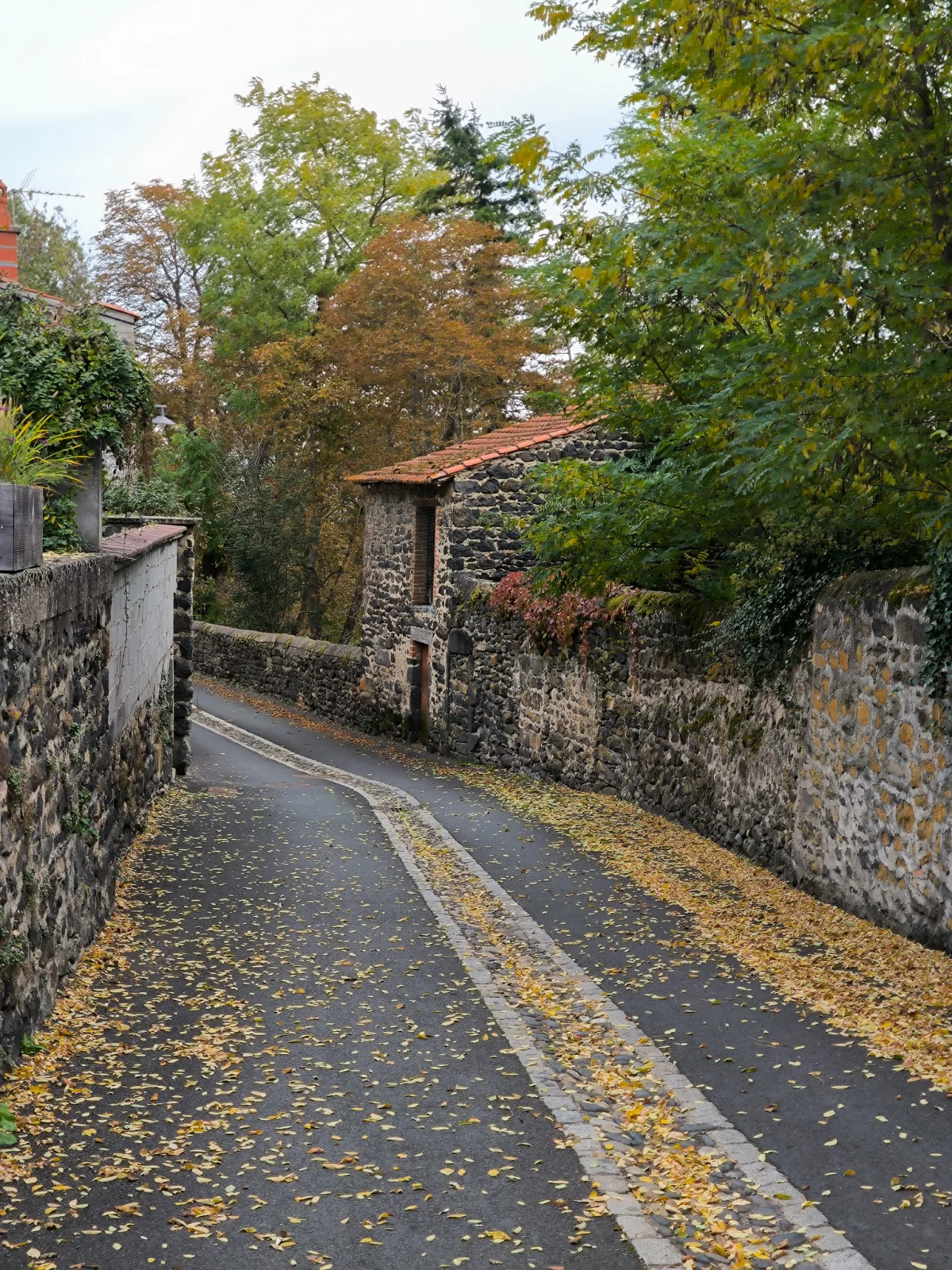 © Pépites Découvertes - Tous droits reservés