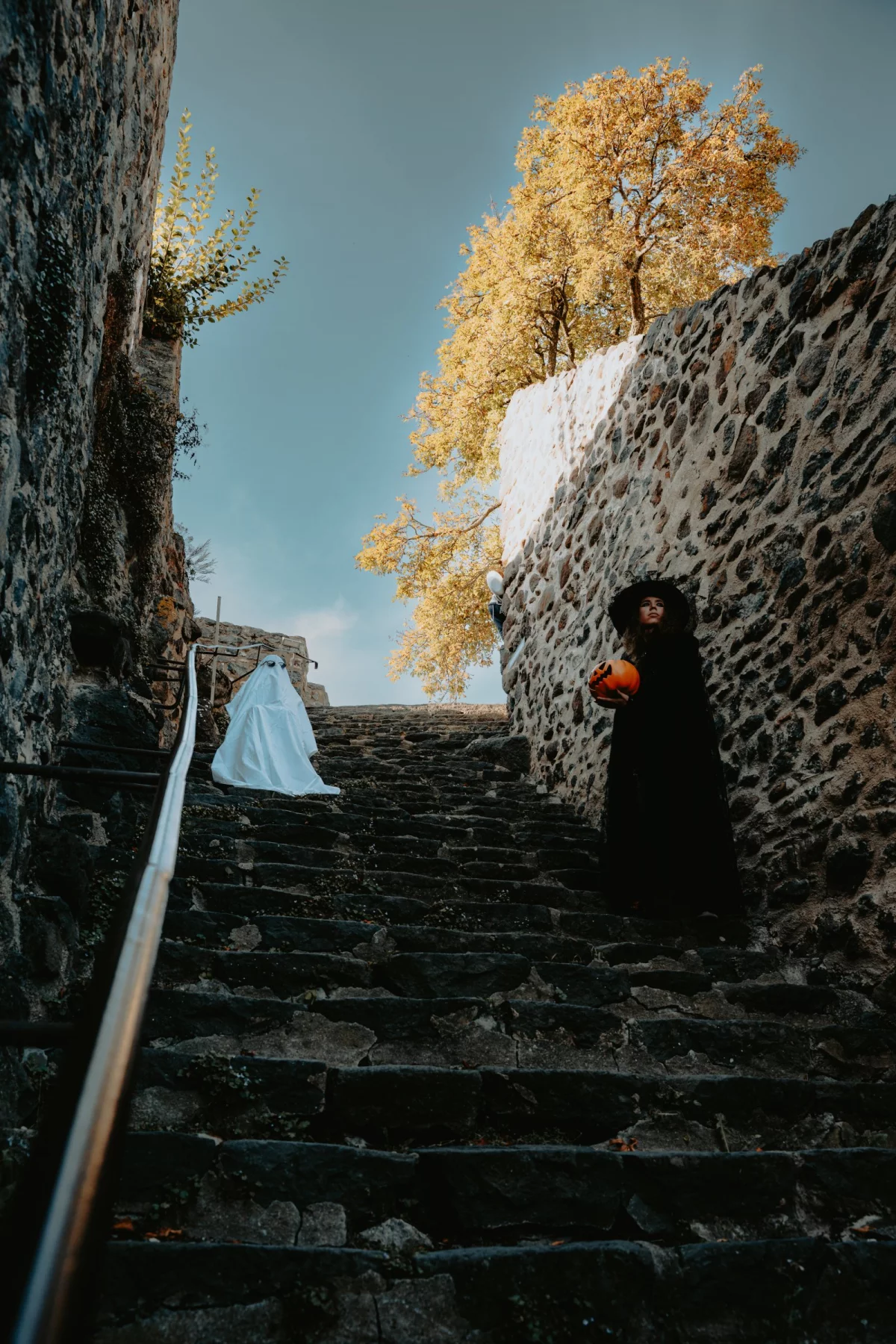 © Pierre Bourey - Tous droits reservés