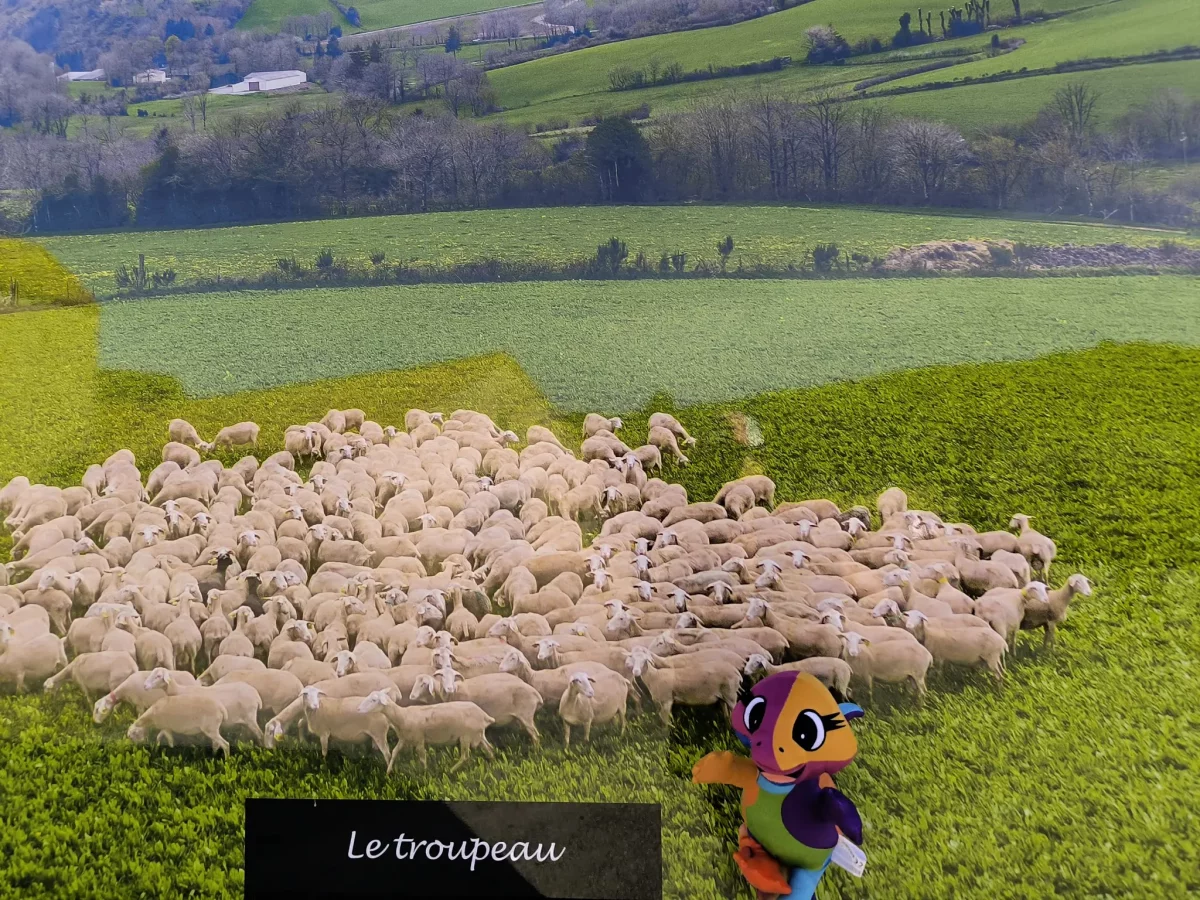 © Pépites Découvertes - Tous droits reservés