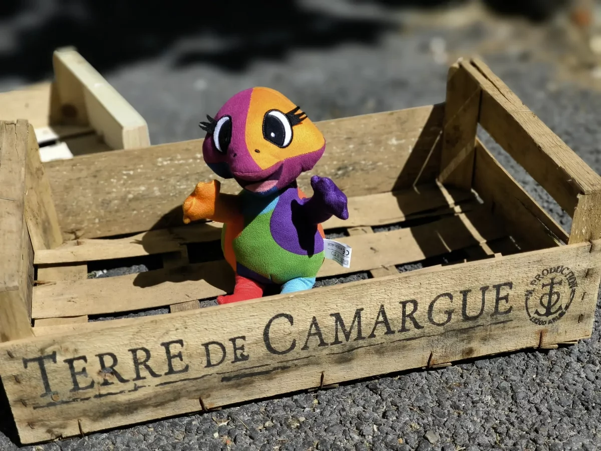 © Pépites Découvertes - Tous droits reservés