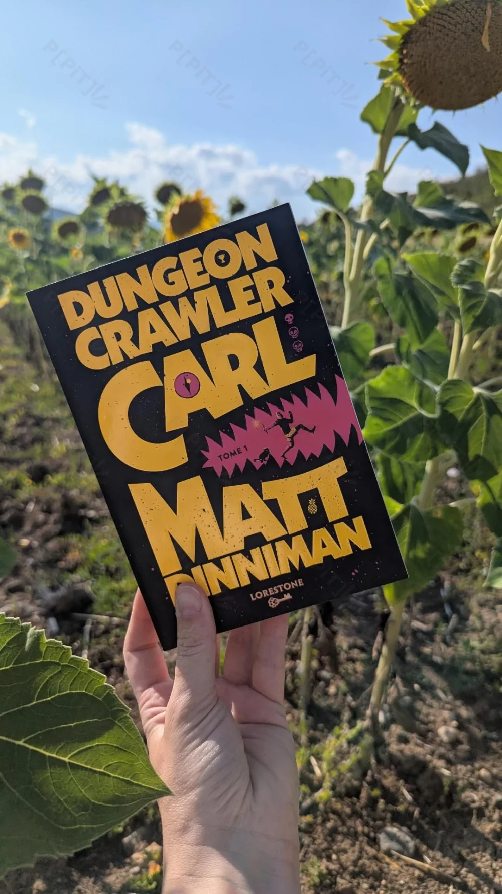 Les recommandations de lecture de la séance