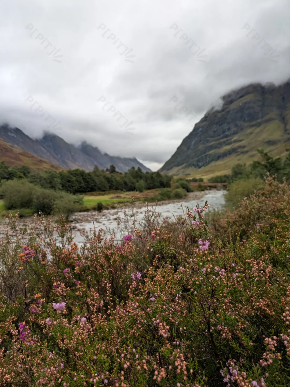 Rivière dans la vallée écossaise