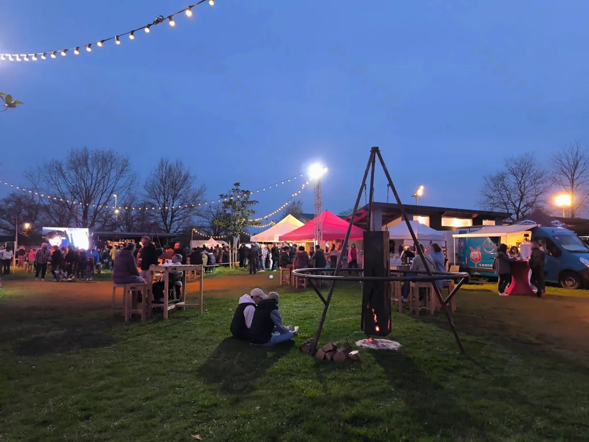 © Pépites Découvertes - Tous droits reservés