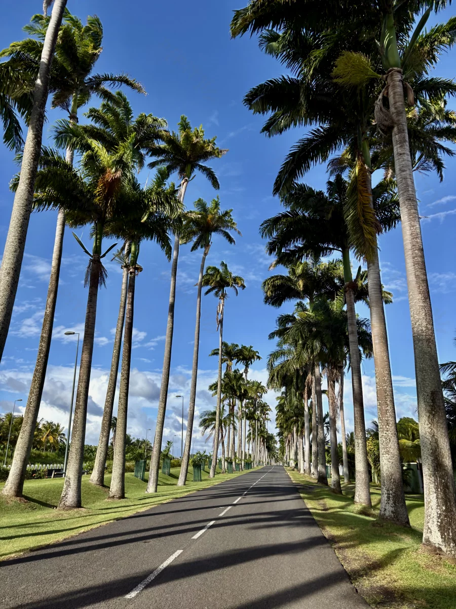 Allée Dumanoir Guadeloupe