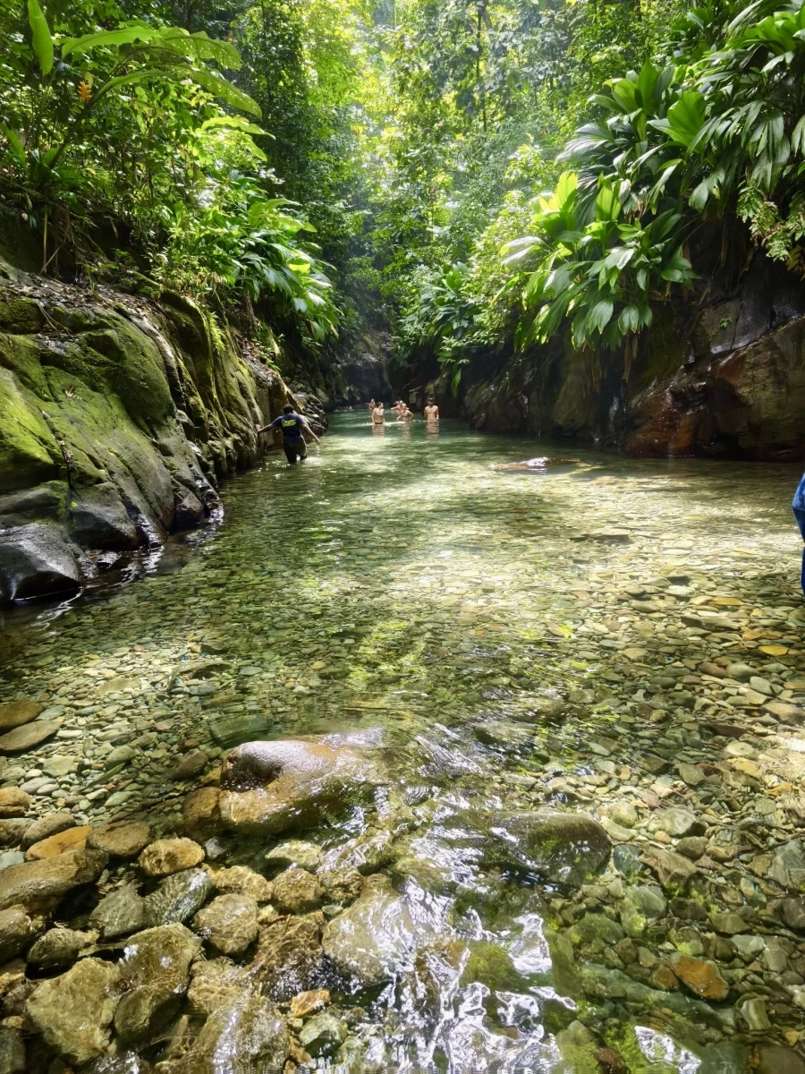 Rivière Canyon Moustique
