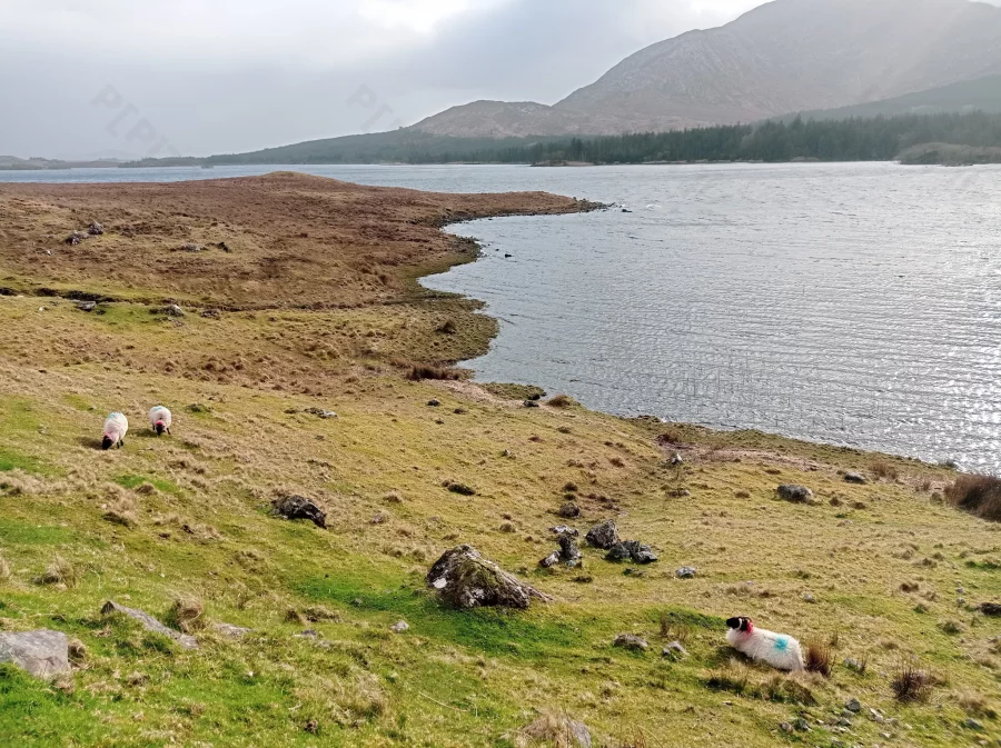 Côte sauvage Irlande.