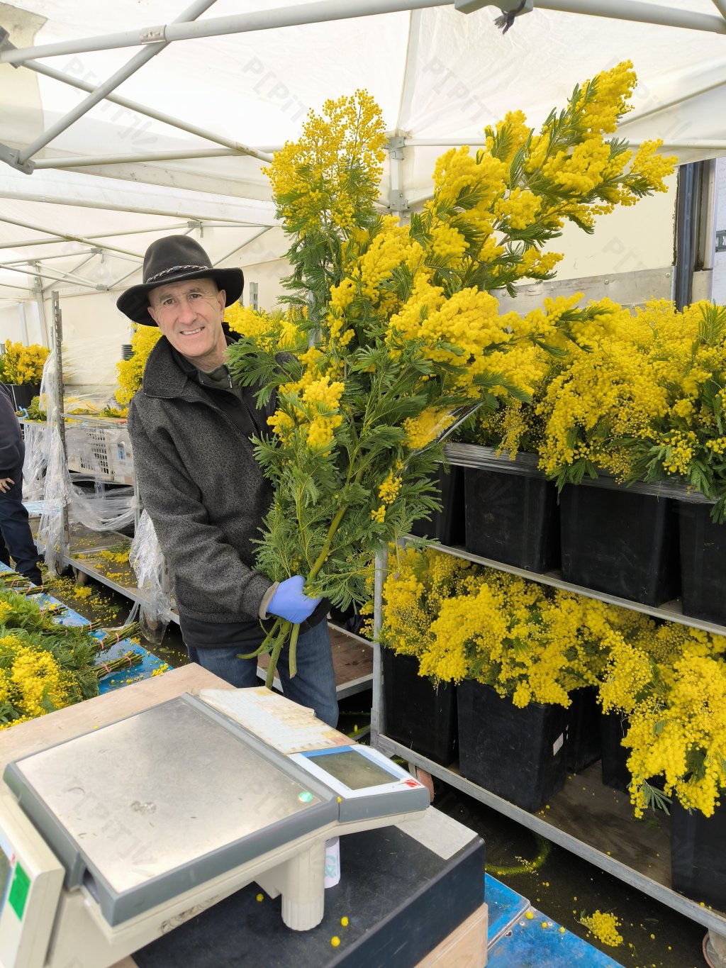 Portrait — Sainte-Paule 2026