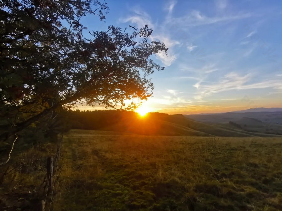 © Pépites Découvertes - Tous droits reservés
