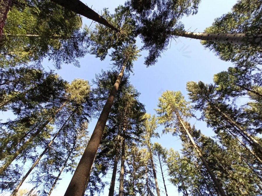 © Pépites Découvertes - Tous droits reservés
