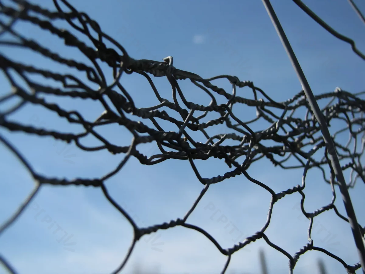 © Pépites Découvertes - Tous droits reservés