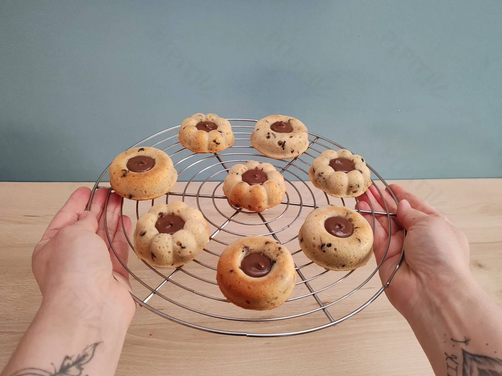 tigres-pate-a-tartiner