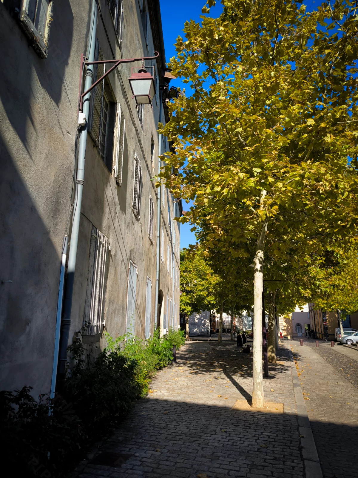 © Pépites Découvertes - Tous droits reservés